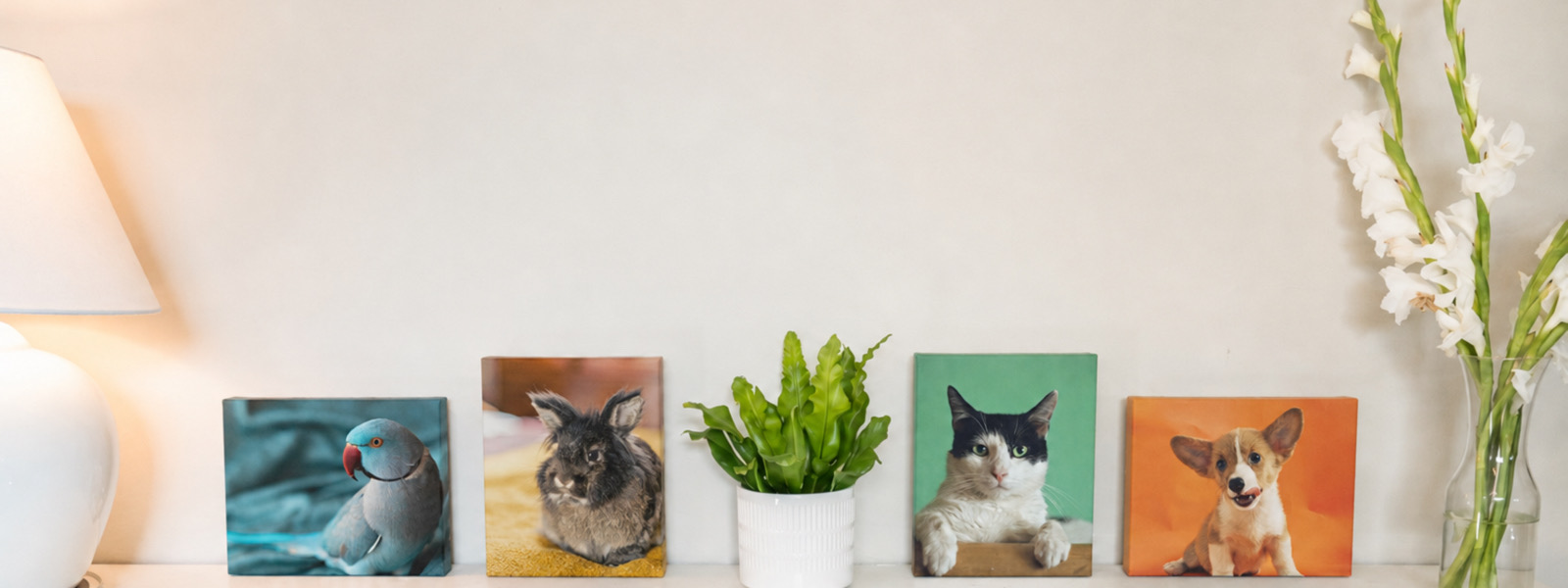 SimplePrints pet canvases displayed at different sizes on a shelf