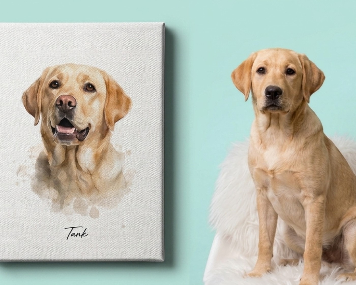 A pet canvas print on a living-room wall