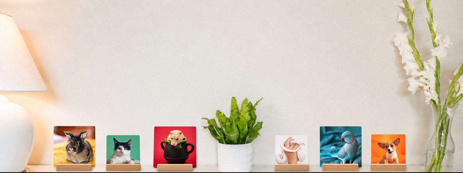SimplePrints pet desk prints displayed at both sizes on a shelf