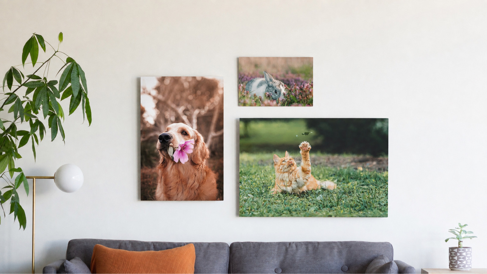 A pet celebration metal print from SimplePrints