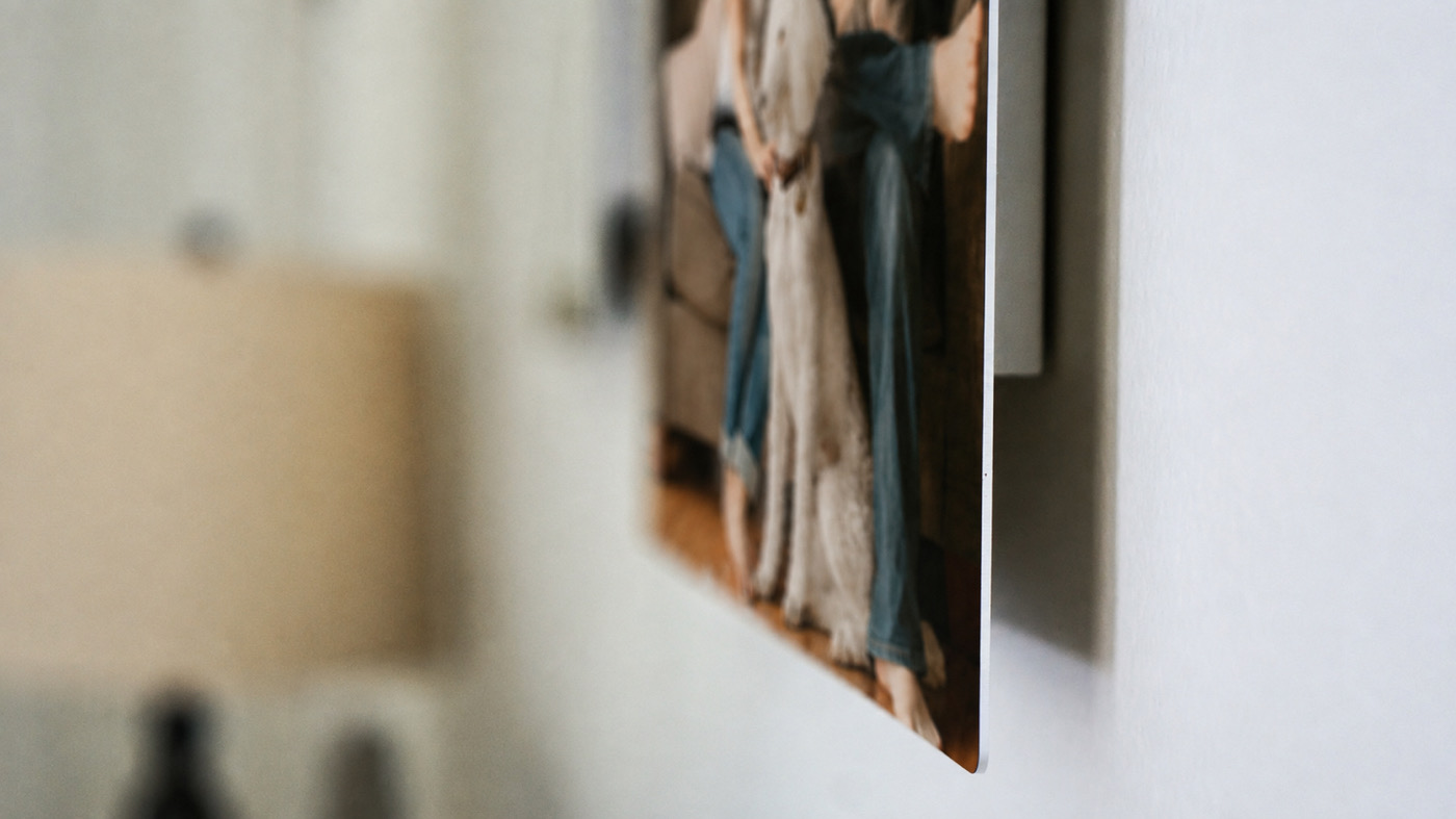 Close-up of a pet metal print floating off the wall on its recessed float mount