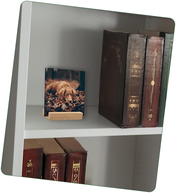A metal desk print on a bookshelf