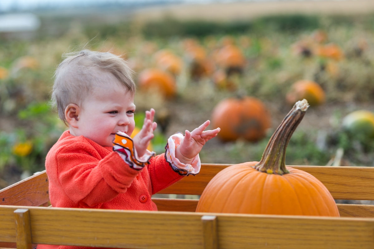 A baby sitting in a wagon with a pumpkin in a pumpkin patch