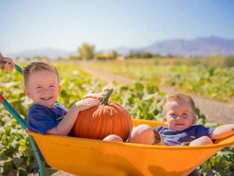 15 Adorable Pumpkin Patch Photoshoot Ideas with Kids