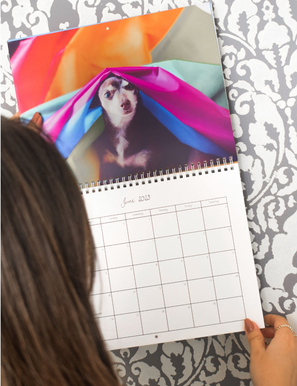 A wall calendar with the month on June 2023 displayed and a picture of a dog peaking out from under a rainbow flag for the month