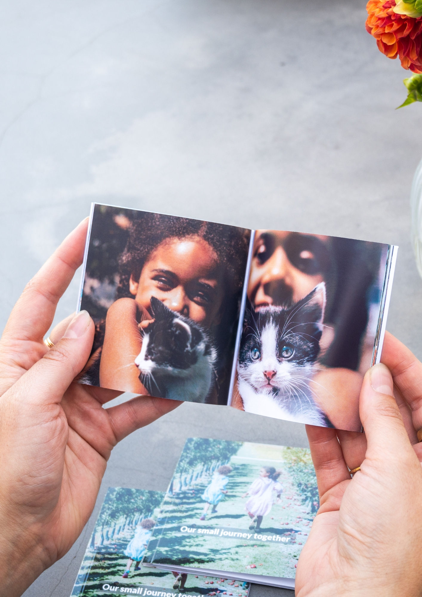 three mini photo books depicting children playing with cats