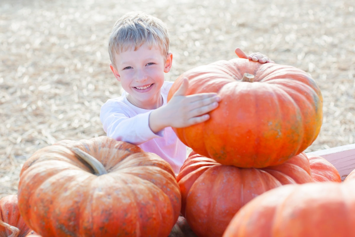 A young boy stacking pumpkins smiling at the camera