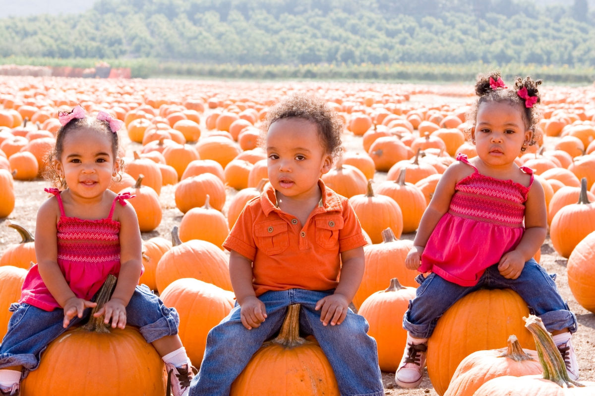 Three young siblings sitting on pumpkins in a pumpkin patch smiling at the camera