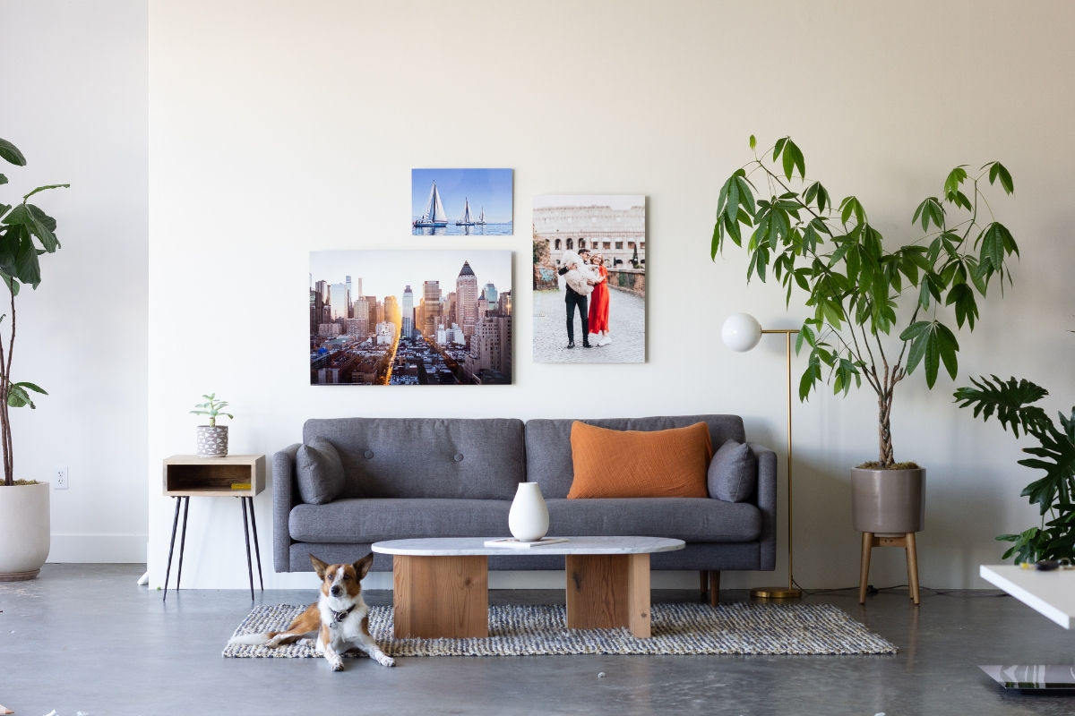 A living room with three custom metal prints on the wall, a cozy couch, a dog and a plant underneath