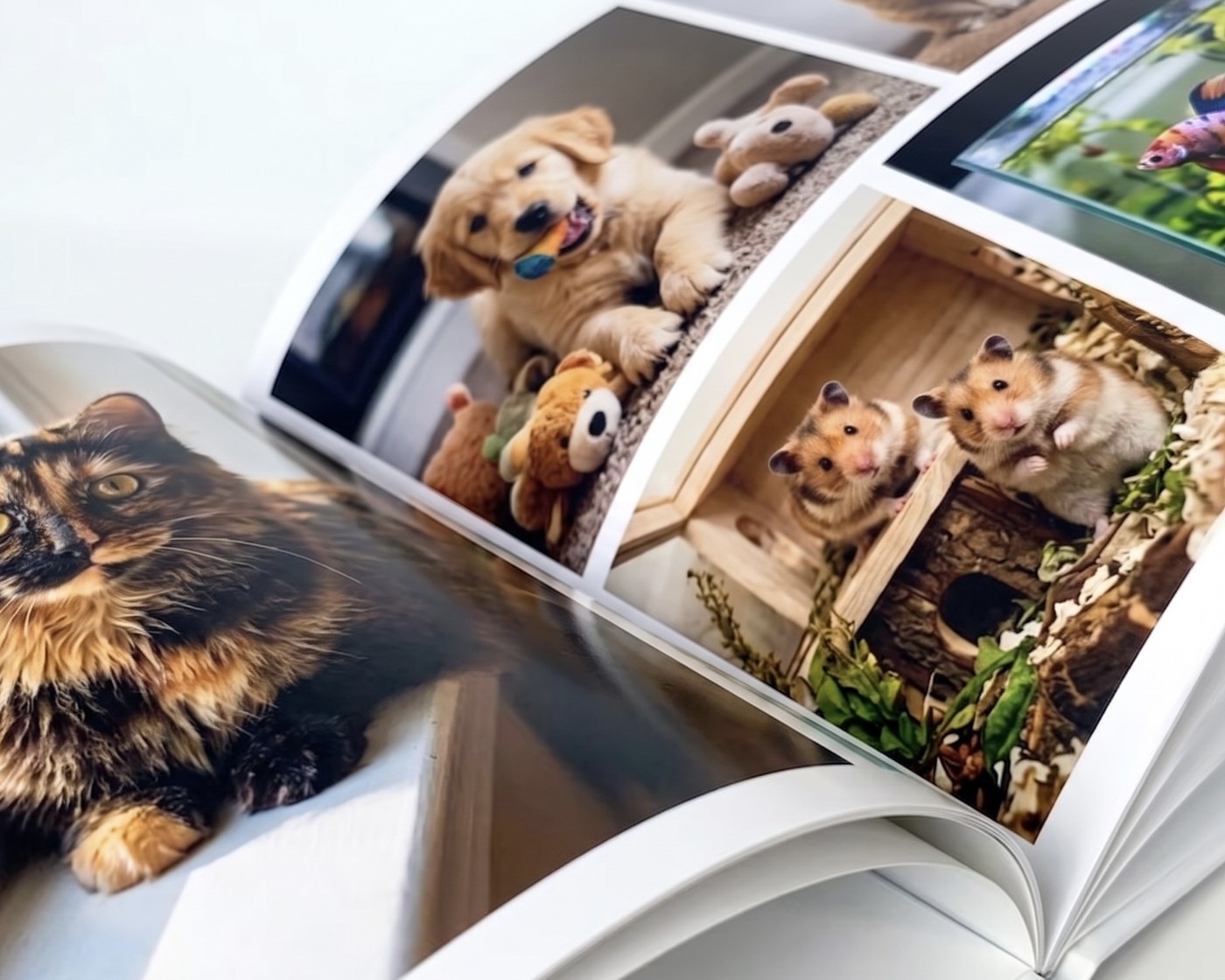 An open SimplePrints photo book showing a spread of pets — a cat, a golden retriever puppy, hamsters, and a fish