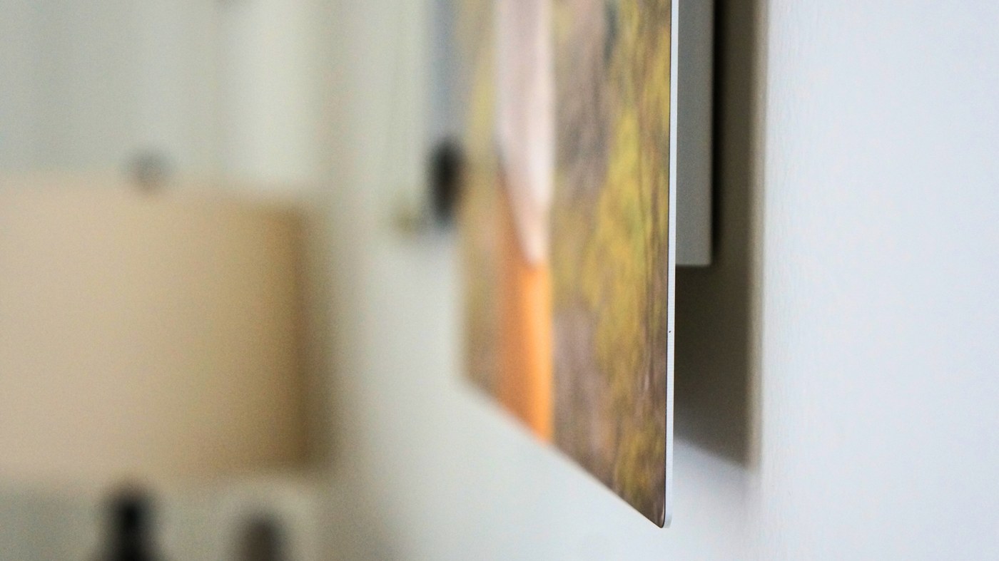 Close-up of a pet memorial metal print floating off the wall on its recessed float mount