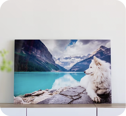 Metal Prints