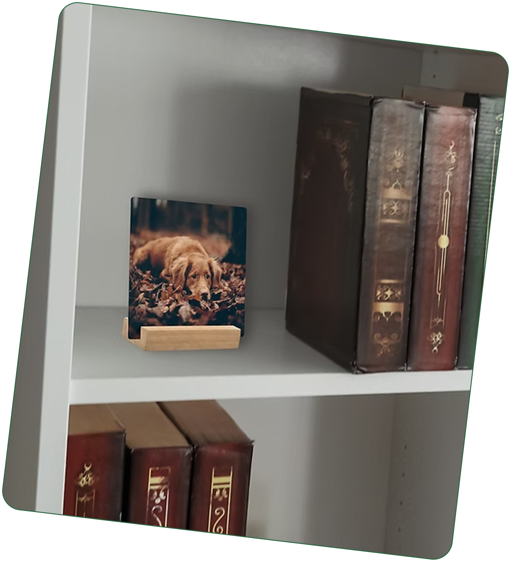 A metal desk print on a bookshelf