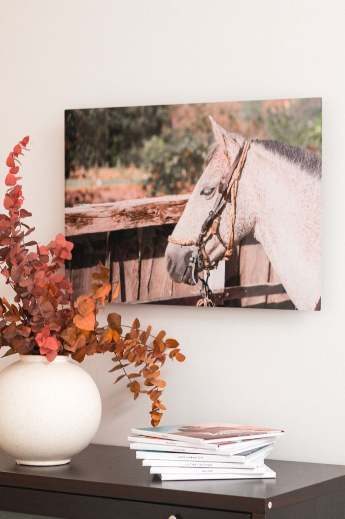 Metal Prints are good choice for displaying animal. photography. Metal prints are good to display indoor as well as outdoor.
