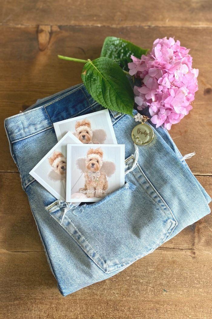 Create custom mini photo books by SimplePrints that feature each of your pets and their crazy antics throughout the year.  Print memories in pocket sized and travel friendly photo books.