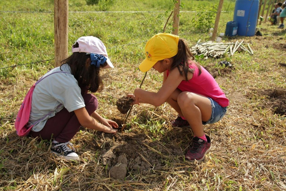 There are many ways that individuals can participate in Earth Day activities at home. Try these ideas for Earth day.