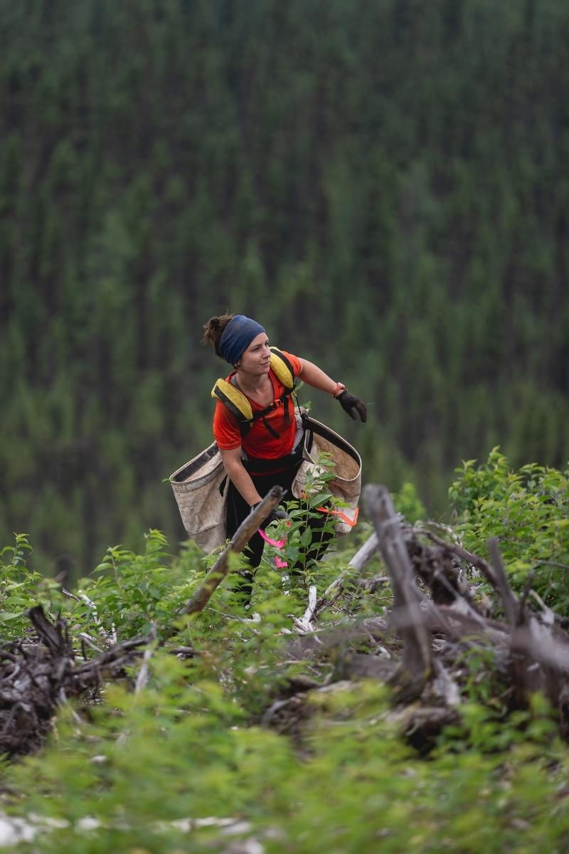 One Tree Planted has established a biodiversity project to restore forest cover in the Pacific Northwest, Australia, Uganda, and more.