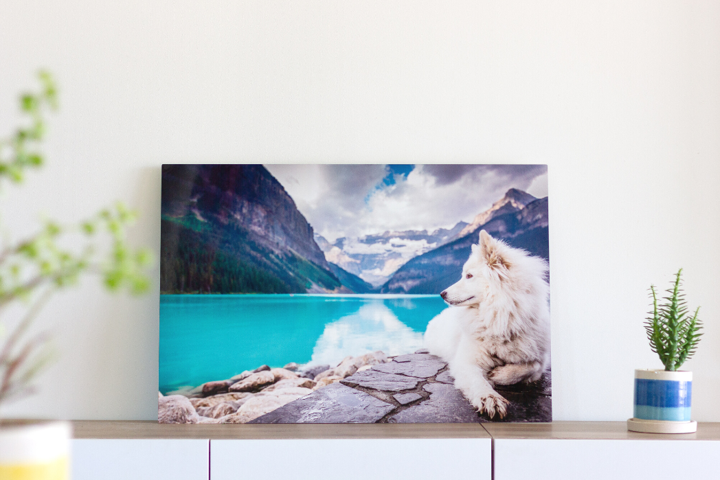 Transform photo into a canvas painting for a one-of-a-kind masterpiece. Choose your special moments and display them on walls of your home and relive memories forever!