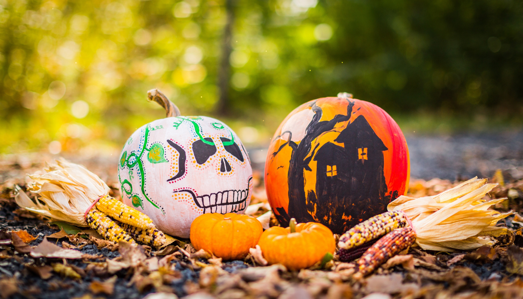 Painting pumpkins is a fun fall activity to do with friends & family and a great alternative for children too young to carve with knives.