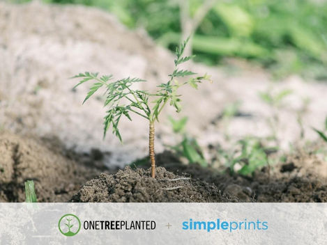 SimplePrints Partners with One Tree Planted