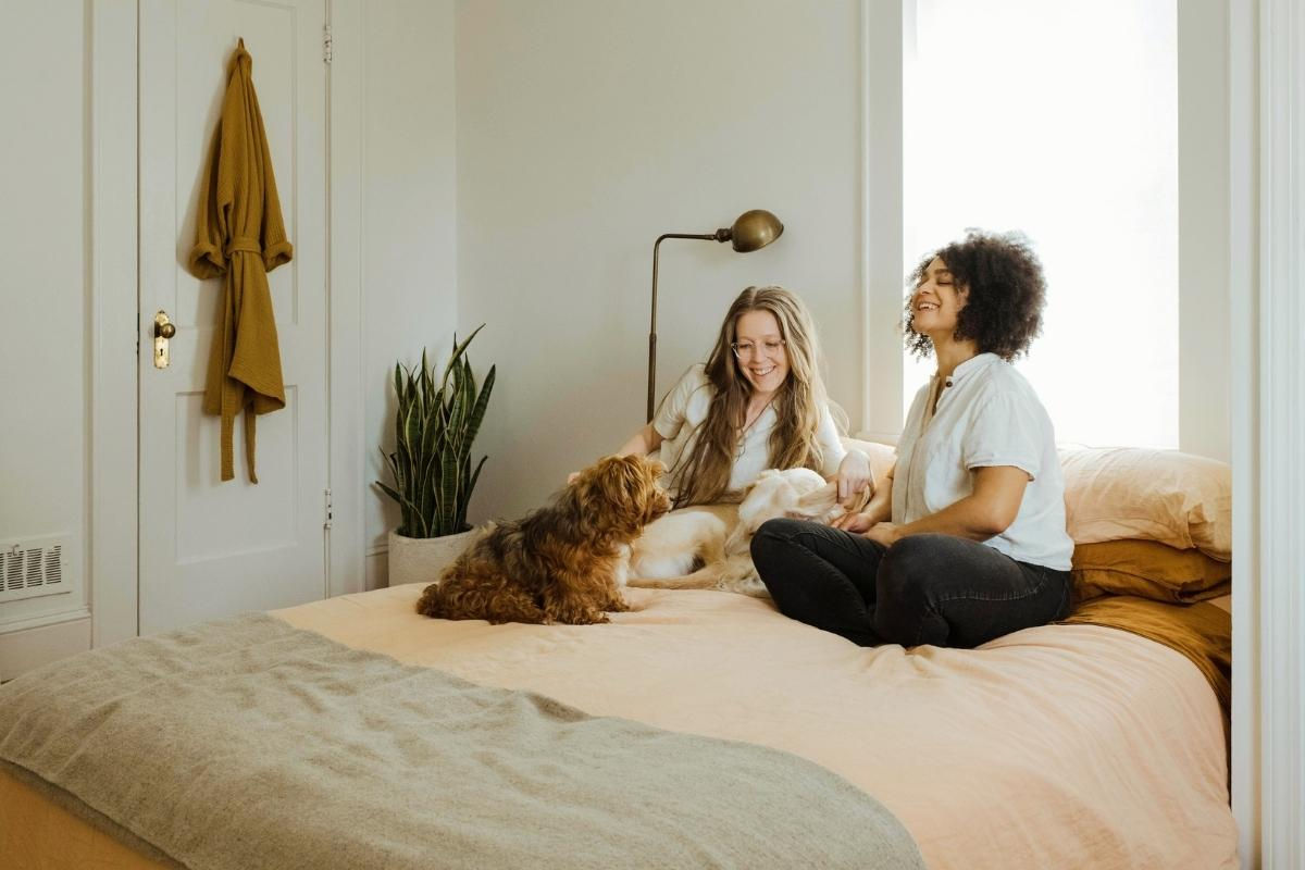 12 Things to Do When Bored at Home