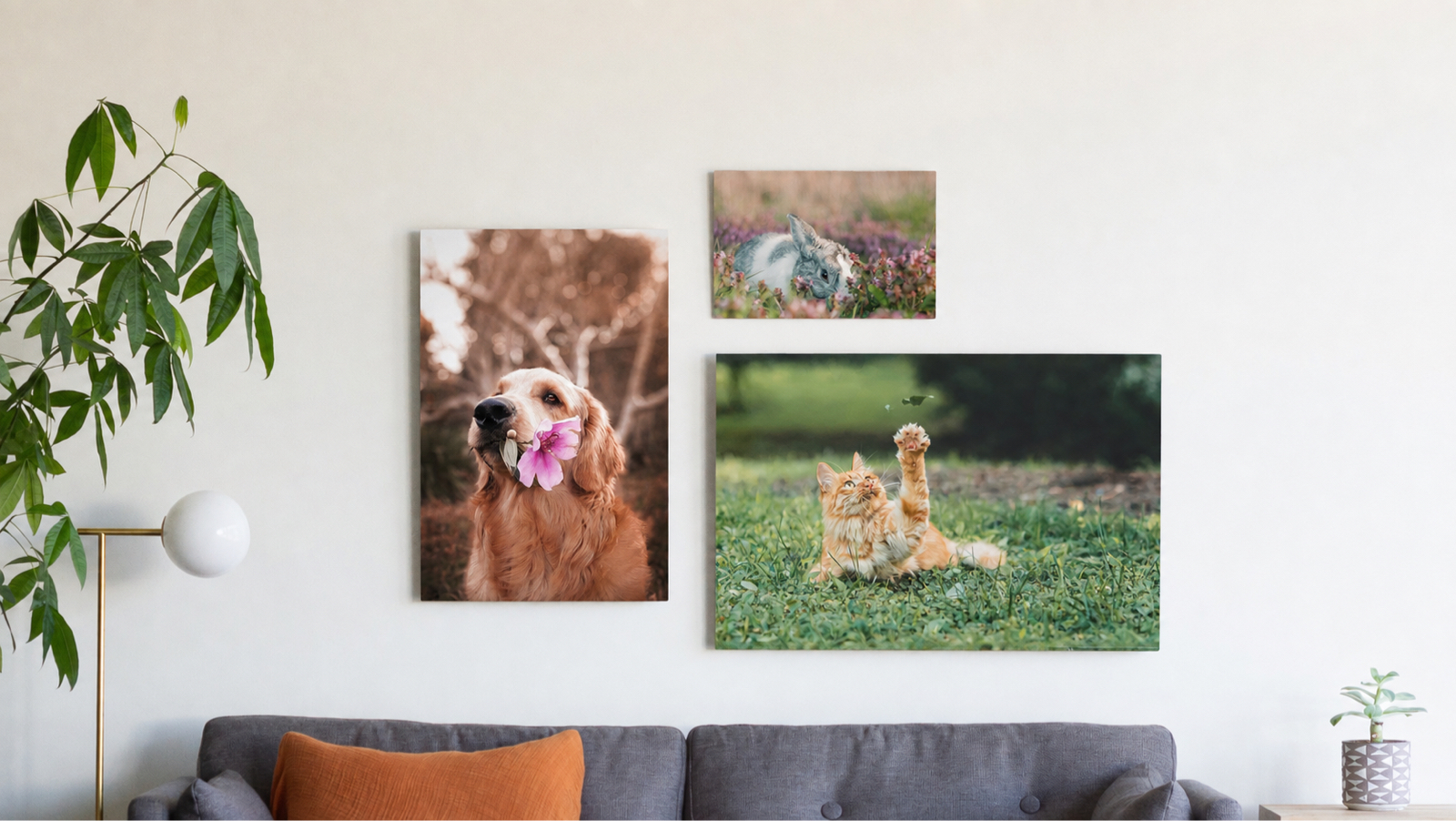 Three SimplePrints metal prints of pets 