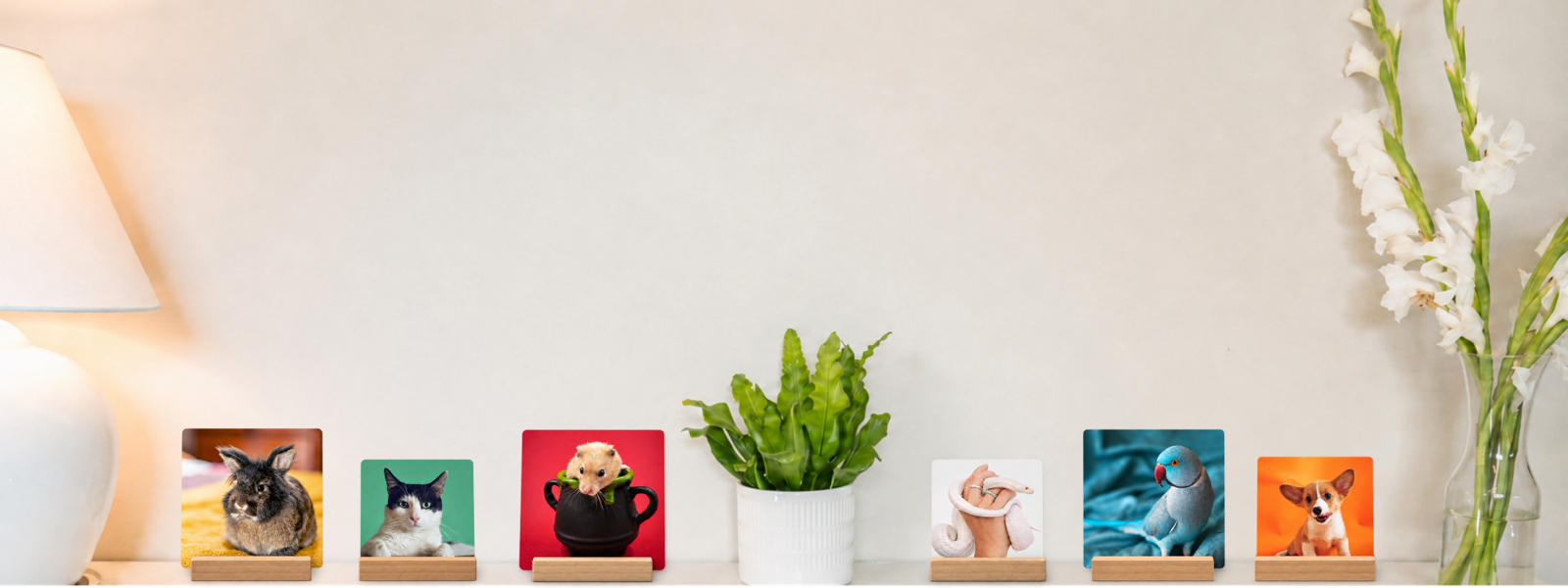 SimplePrints pet memorial desk prints displayed at different sizes on a shelf